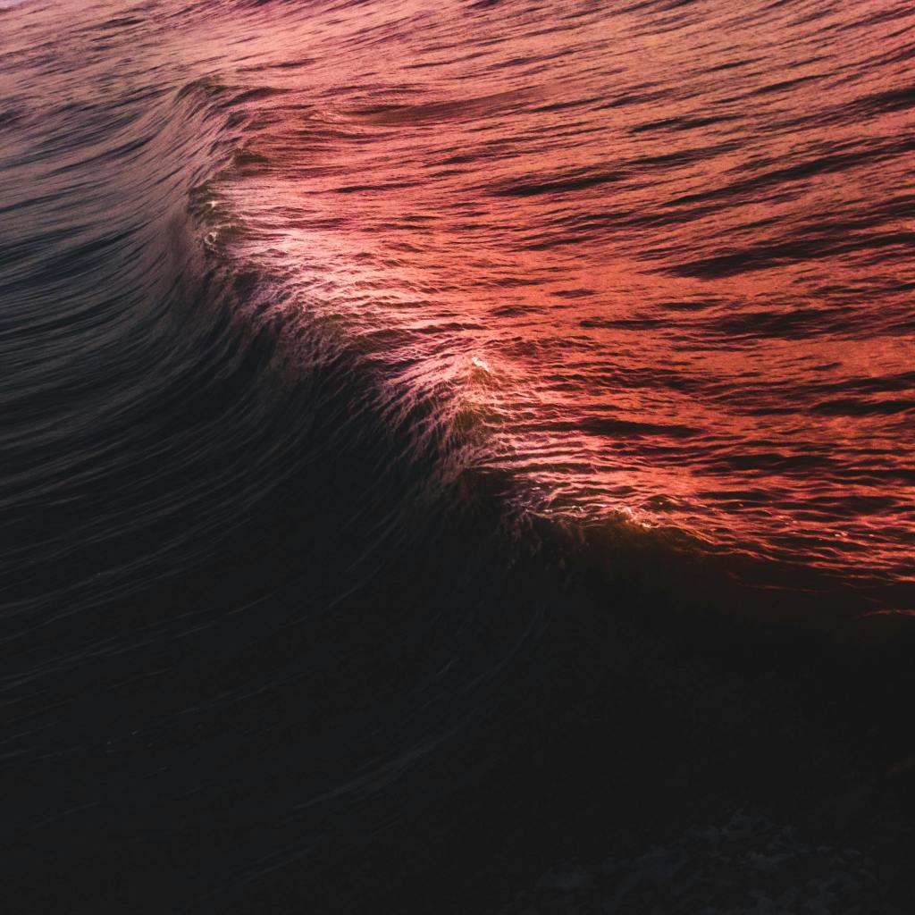 wave wave